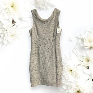 Amelia New w Tag Beige Lined Lace Sleeveless Dress Women Sz 16